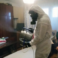 Дезинфекция от клопов в Брянске