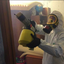 Уничтожение клопов в квартире. Брянск